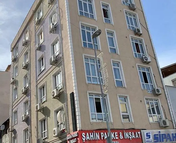 Camellia * Istanbulská provincie